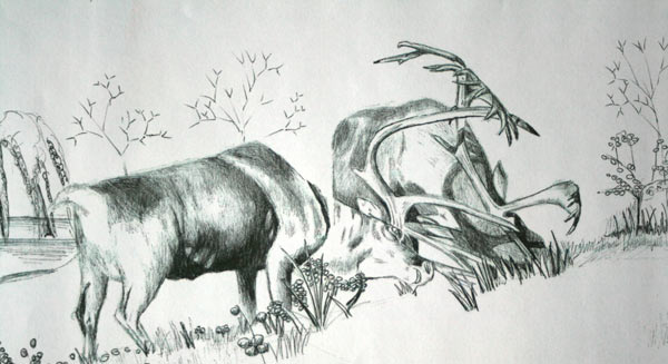 Ball Point Pen
